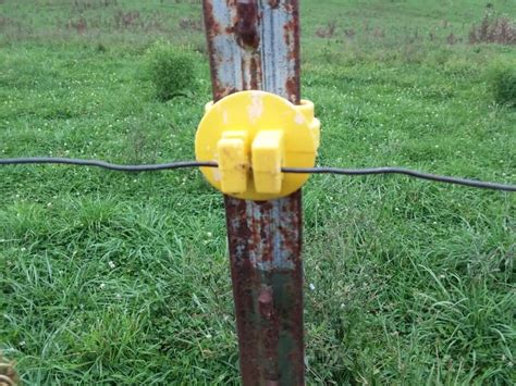 livestock electric fence for dogs